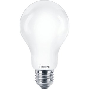 Philips LED Cla 120W A67 E27 2700K skl